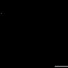vwvwvewvwvll11_v444