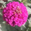 userjaaclnws35