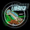 limbata_lingsfher