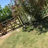 joeygotogo
