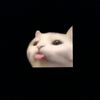 pieemjd