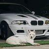 bmw_lad