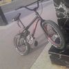 angelbracho162