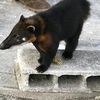 www.tiktok.comnavy.com