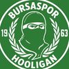 bsgreenwhiteholigan1963
