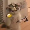 forcedtogetthis7