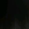 meguiina