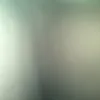 the_patriotes