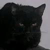 brvictor64