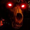 wildjester333