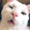 riind_19