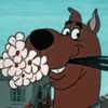scoobyroux