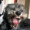 epiczombster
