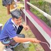 apichatr071244