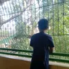 pjbelo8