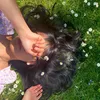 indayriza09