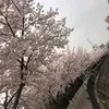 vietphong_091