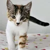 samantha36980