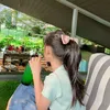 charissachan14
