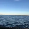 16111947l