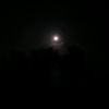 crow_88paiman