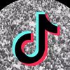 supporttiktok.com2