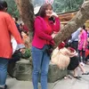 tranngoclinh94