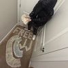 chrisindishoe