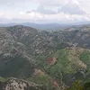 nasimelbehar