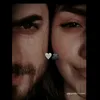 .zi.1.1