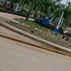 tauroamor