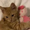 userjydynf2xwx