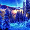 najla.c14