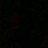 janaabdelhady2
