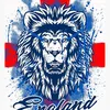 stevenwhitehead7