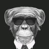 monkey_business_gang