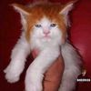 user03xg5cc4jw