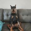 big_ike03