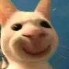 doacoluon