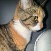 snoop_the_cats_father