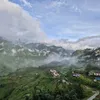 phuongdan4