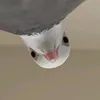 sephtemberfale