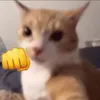 ..oatmeal_