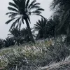 a_k_s_2