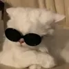 raa_iroiro