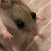 gh0stgirldiary