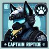 capt.riptide