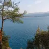 umut0648
