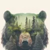 bear272727