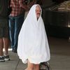hello___lettuce